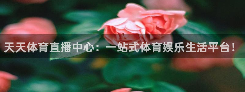 河豚体育直播看球app