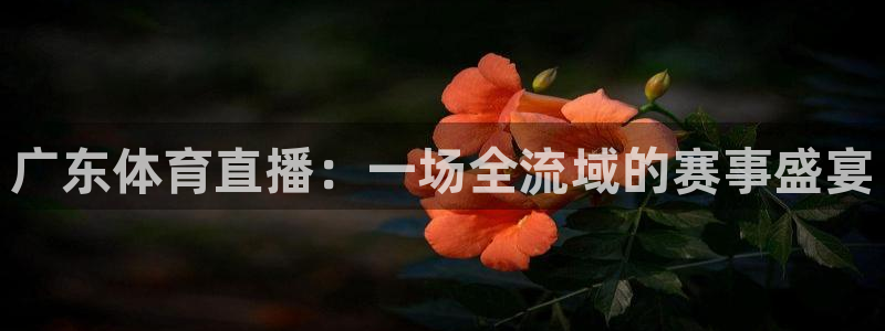 河豚面：广东体育直播：一场全流域的赛事盛宴