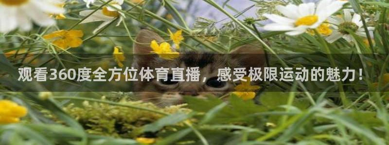 河豚直播体育直播：观看360度全方位体育直播，感受极限运动的魅力！