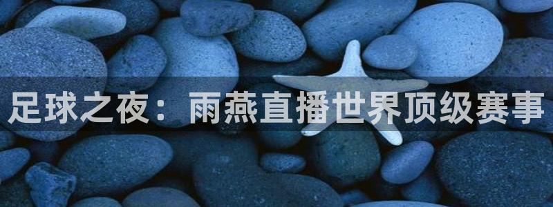 河豚搞笑：足球之夜：雨燕直播世界顶级赛事