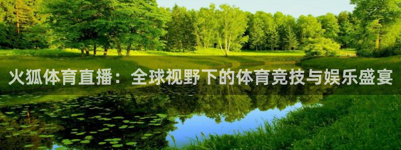 河豚体育赛事直播：火狐体育直播：全球视野下的体育竞技与娱乐盛宴