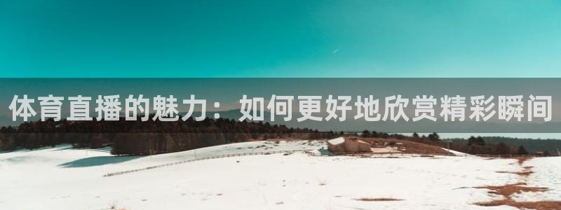 河豚河豚：体育直播的魅力：如何更好地欣赏精彩瞬间