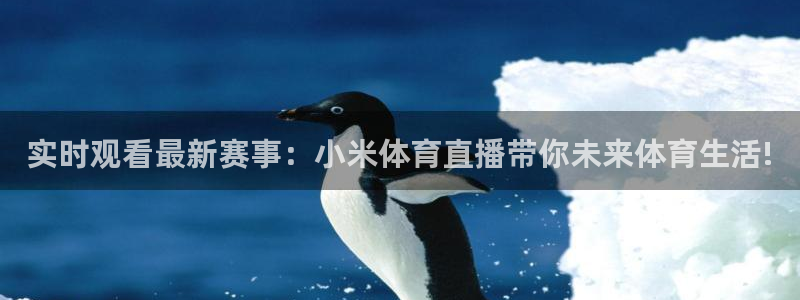 河豚在线nba直播